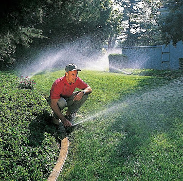  New Album of Millard Sprinkler 13235 Chandler Rd # C - Photo 3 of 3
