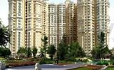Supertech Romano, Noida
