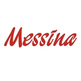  Messina 329 Rue Saint-Charles O 