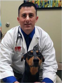  Profile Photos of Fayetteville Veterinary Hospital 8122 E Genesee St - Photo 2 of 2