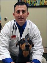 Fayetteville Veterinary Hospital, Fayetteville