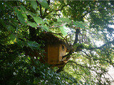  Unique Sleeps 43 Forest View Road 