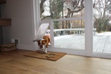 Give your dog freedom with a sliding glass pet door from Pet Door Products in Salt Lake City!