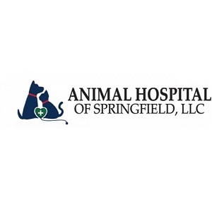  Profile Photos of Animal Hospital of Springfield, LLC 3183 South Veterans Parkway - Photo 1 of 1