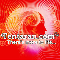  Profile Photos of Tentaran 301, 3rd Flr, Rectangle One Building Saket District Centre - Photo 1 of 1