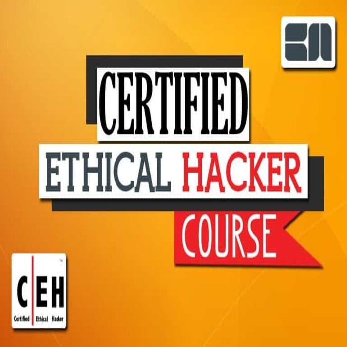 Ethical Hacking Training Academy in Bhopal New Album of Elysium Academy in Bhopal Plot No.131/9 First Floor, Near Time Coaching, Near Pragati Petrol Pump, Zone-II, Maharana Pratap Nagar - Photo 4 of 6