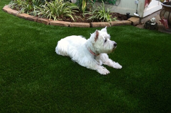  New Album of Complete Synthetic Turf 7715 SW Ellipse Way - Photo 1 of 4