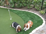 Complete Synthetic Turf, Stuart