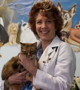 Circle of Life Animal Hospital, Tampa