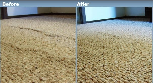  Profile Photos of Panorama city carpet cleaning 8931 Hazeltine ave - Photo 3 of 3