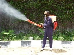 Pest Control Watford, 22 King St, Watford, WD18 0BW, 02036160408, http://www.pestcontrolwatford.com Profile Photos of Pest Control Watford 22 King St - Photo 5 of 6 Pest Control Watford, 22 King St, Watford, WD18 0BW, 02036160408, http://www.pestcontrolwatford.com Profile Photos of Pest Control Watford 22 King St - Photo 5 of 6