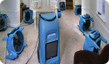  Chino Carpet Cleaning Services 3661 Walnut Avenue 