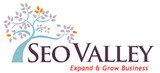 SEOValley Solutions Private Limited, Bhopal