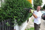 Gardening Services Tonbridge, Tonbridge