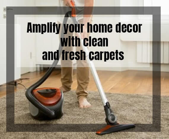  Pricelists of Best Carpet Cleaning Perth 47/418 Murray Street - Photo 1 of 1