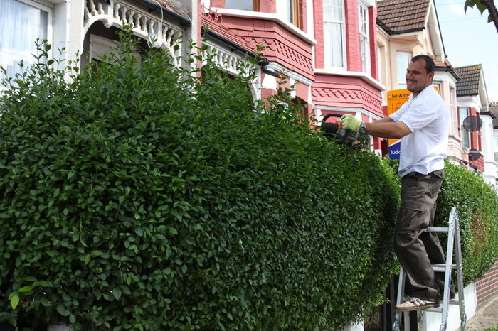  Profile Photos of Gardening Services Otford 98 Well Road - Photo 4 of 5