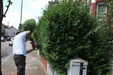Gardening Services Sevenoaks, Sevenoaks