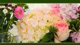 Englewood Florist, Lawrence