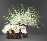  MY FLORIST 12-343-23,opp bank of india,gachibowli to madhavpur road. 