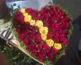 MY FLORIST, hyderabad