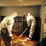 Sewage backup cleanup, Flood Services Canada, Toronto