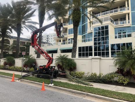  Profile Photos of Sarasota Arborist 4030 Sawyer Court - Photo 3 of 4