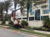 Sarasota Arborist, Sarasota
