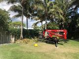 Sarasota Arborist, Sarasota