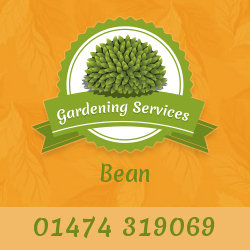  Profile Photos of Gardening Services Bean 170 Beacon Dr - Photo 1 of 4