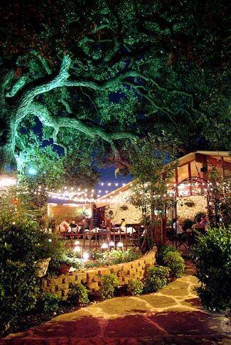  Profile Photos of Tree House Italian Grill 2201 College Avenue - Photo 6 of 6