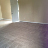 Back 2 New Carpet Cleaning Adelaide, Adelaide