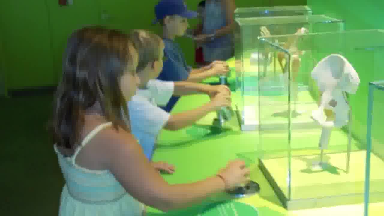Field Trips and Visitors.mp4