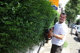 Gardening Services Hartfield, Hartfield