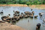 Madras Travels & Tours (P) Ltd, Chennai