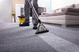 Arlington Heights Carpet Cleaning Afsars, Arlington Heights