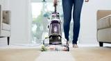 Arlington Heights Carpet Cleaning Afsars, Arlington Heights