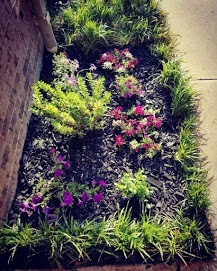  New Album of Baker Brothers Lawn Care 905 Elaine Drive - Photo 3 of 3