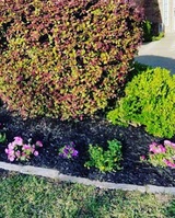  Baker Brothers Lawn Care 905 Elaine Drive 