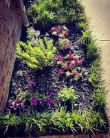  Baker Brothers Lawn Care 905 Elaine Drive 