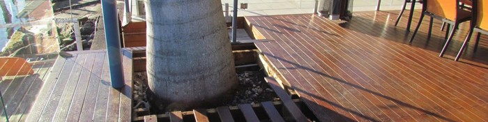  Profile Photos of Clean Cut Tree Services 27 Railway Street - Photo 2 of 10