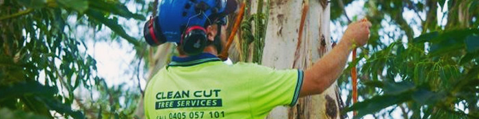  Profile Photos of Clean Cut Tree Services 27 Railway Street - Photo 6 of 10