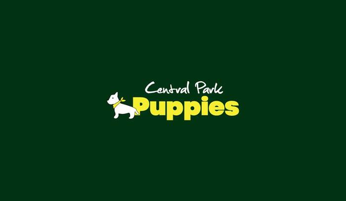  Profile Photos of Central Park Puppies 650 Central Park Ave Unit A - Photo 5 of 5