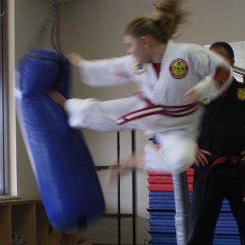  Aamerican Colleges of Jiu Jitsu and Karate of Aamerican Colleges of Jiu Jitsu and Karate 11244 Patterson Ave - Photo 3 of 4