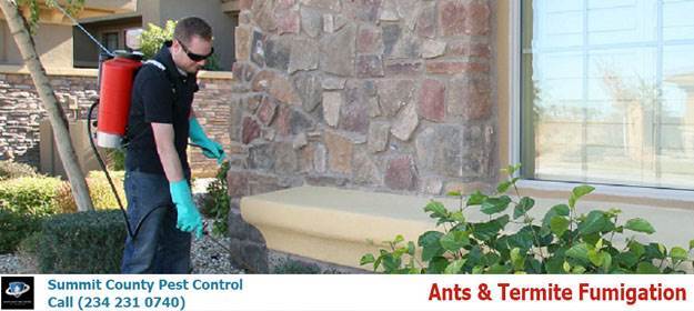  Profile Photos of Summit County Pest Control 1558 Delia Ave - Photo 24 of 26