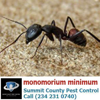 Profile Photos of Summit County Pest Control 1558 Delia Ave - Photo 18 of 26