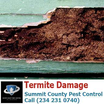  Profile Photos of Summit County Pest Control 1558 Delia Ave - Photo 16 of 26