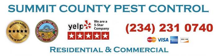 Profile Photos of Summit County Pest Control 1558 Delia Ave - Photo 1 of 26