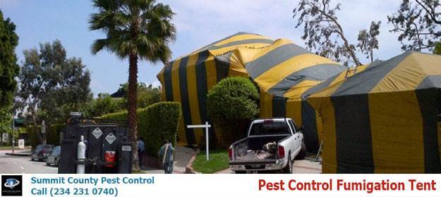  Profile Photos of Summit County Pest Control 1558 Delia Ave - Photo 9 of 26