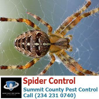  Profile Photos of Summit County Pest Control 1558 Delia Ave - Photo 6 of 26
