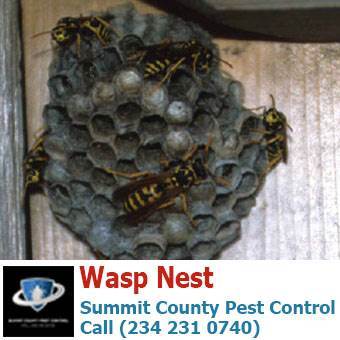  Profile Photos of Summit County Pest Control 1558 Delia Ave - Photo 3 of 26